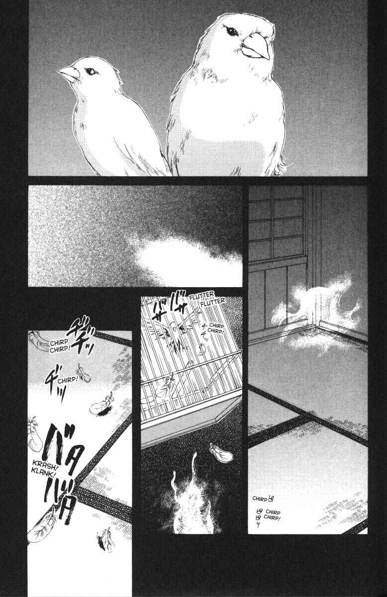 Page 11 Chapter 33 Ghost Hunt