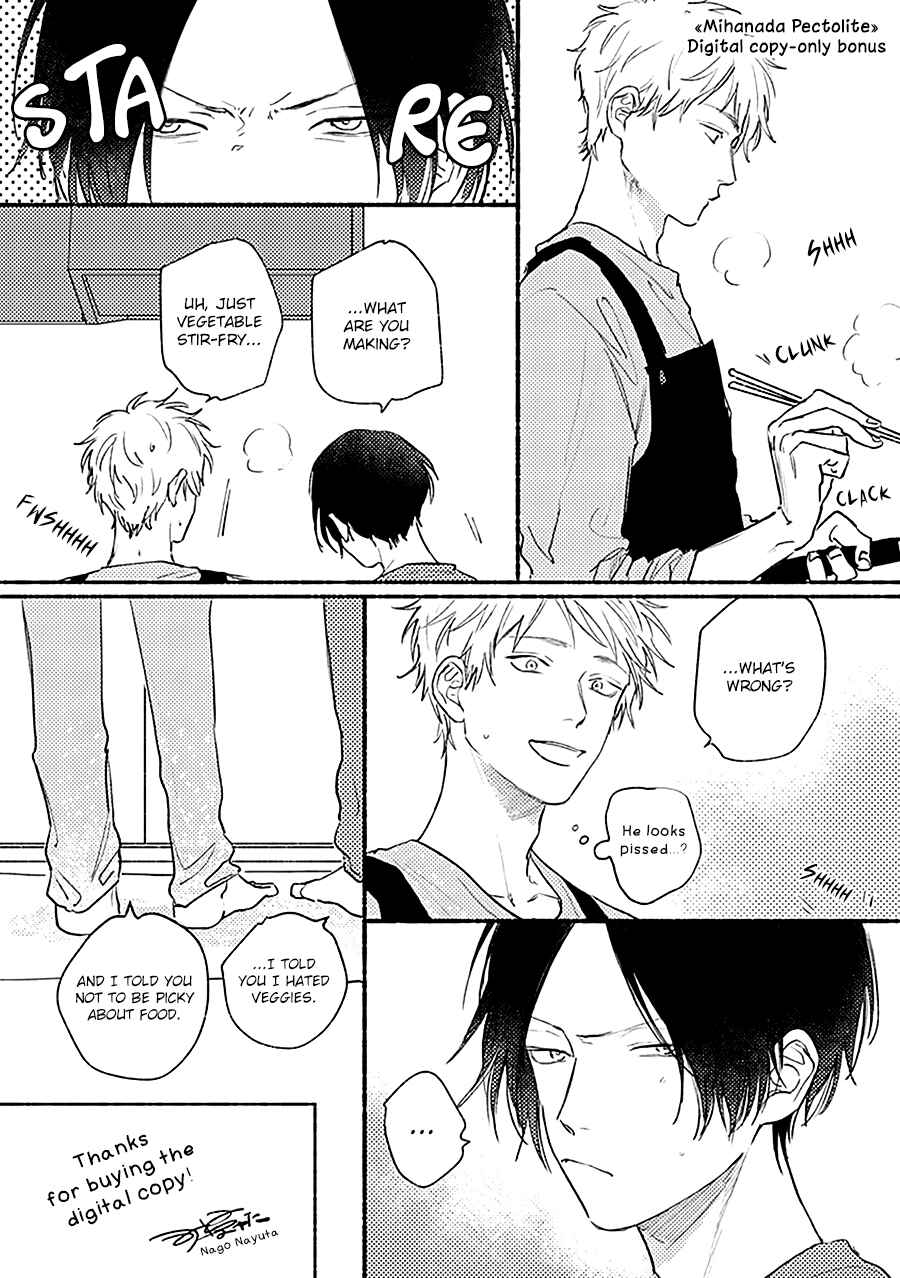 Page 1 Chapter 5.5 Mihanada Pectolite
