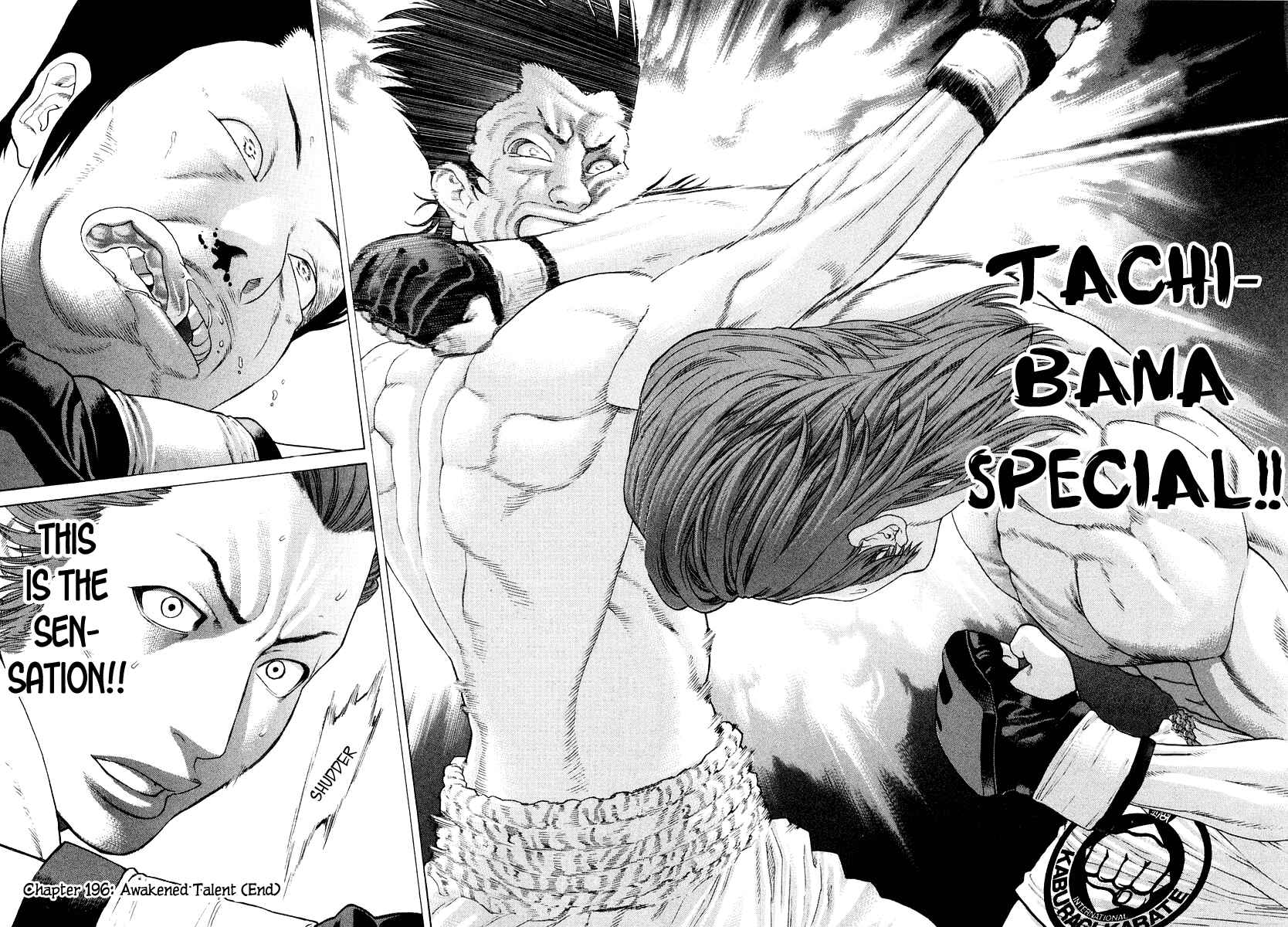 Page 19 Chapter 196 Little Lord of Karate