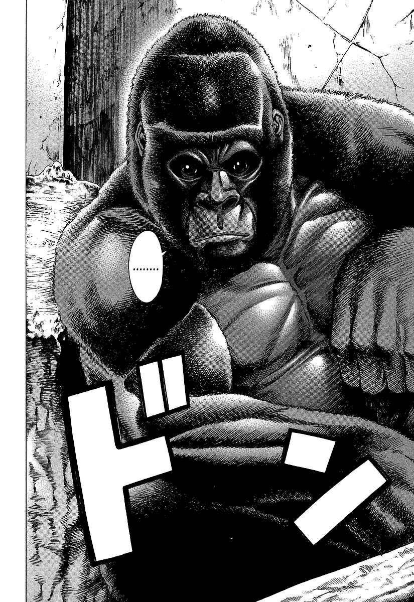 Page 6 Chapter 251 Little Lord of Karate