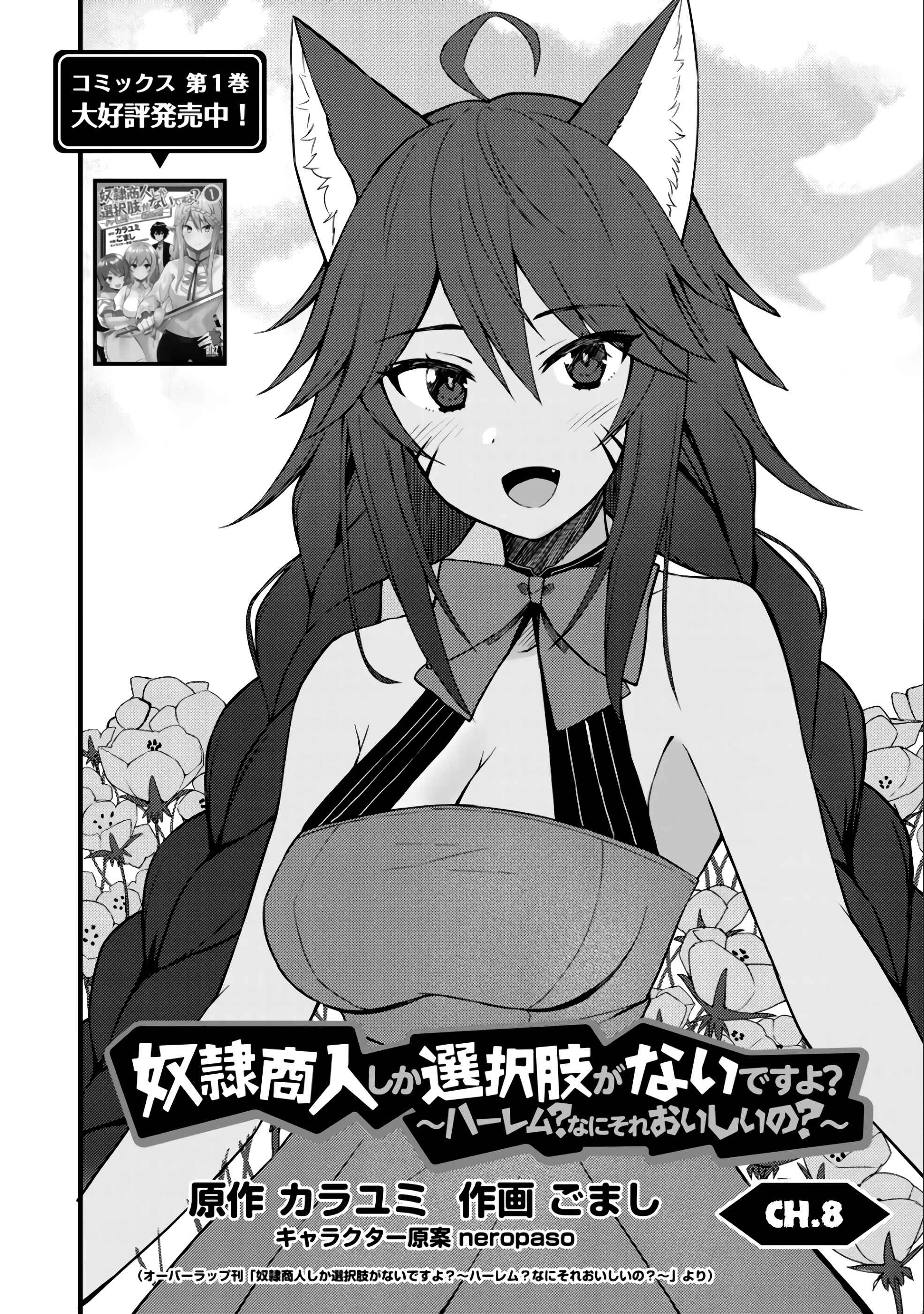 Page 3 Chapter 9 Is the Only Option a Slave Merchant?: Harem? What is that, is It Tasty?