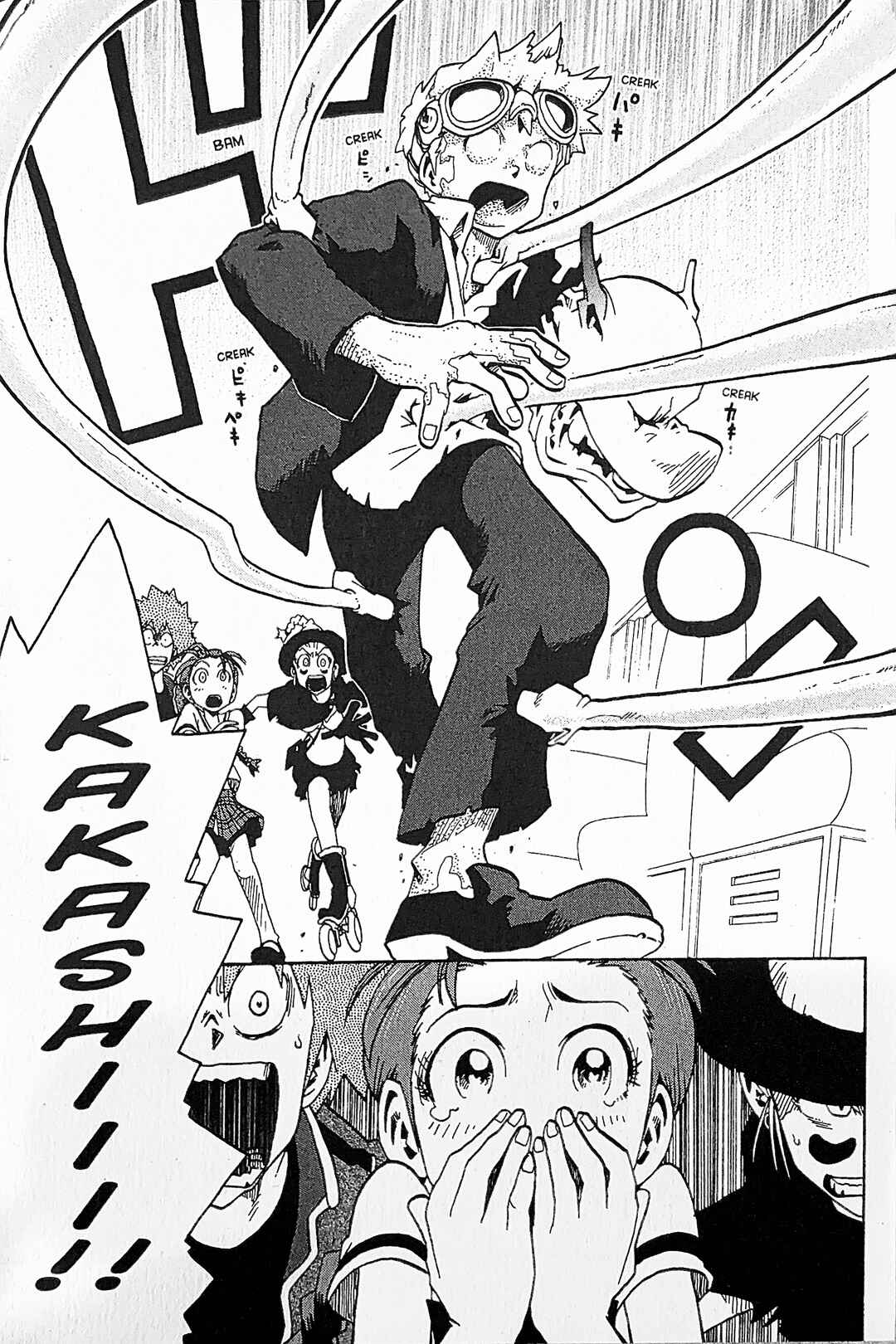 Page 13 Chapter 16 Toto! The Wonderful Adventure