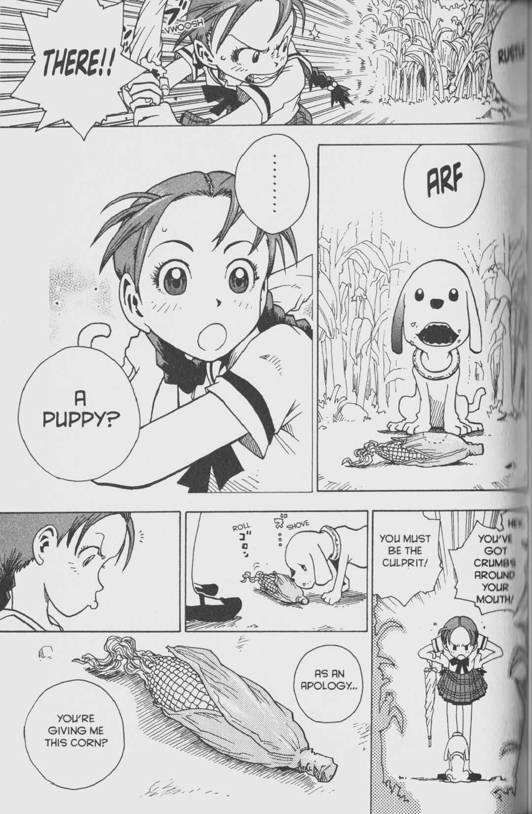 Page 7 Chapter 3 Toto! The Wonderful Adventure