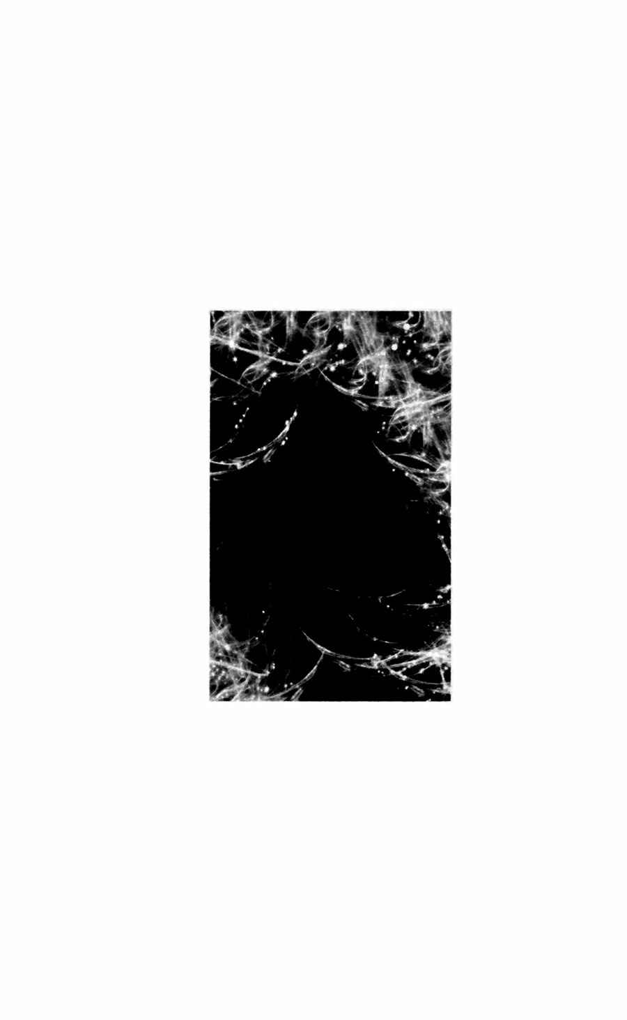 Page 38 Chapter 146 7 Seeds
