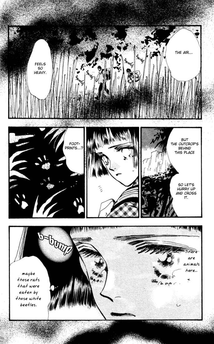 Page 12 Chapter 4 7 Seeds