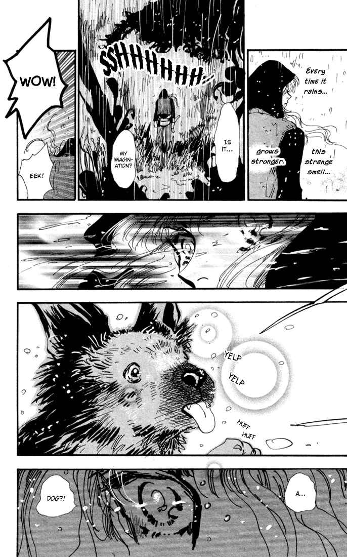 Page 8 Chapter 26 7 Seeds