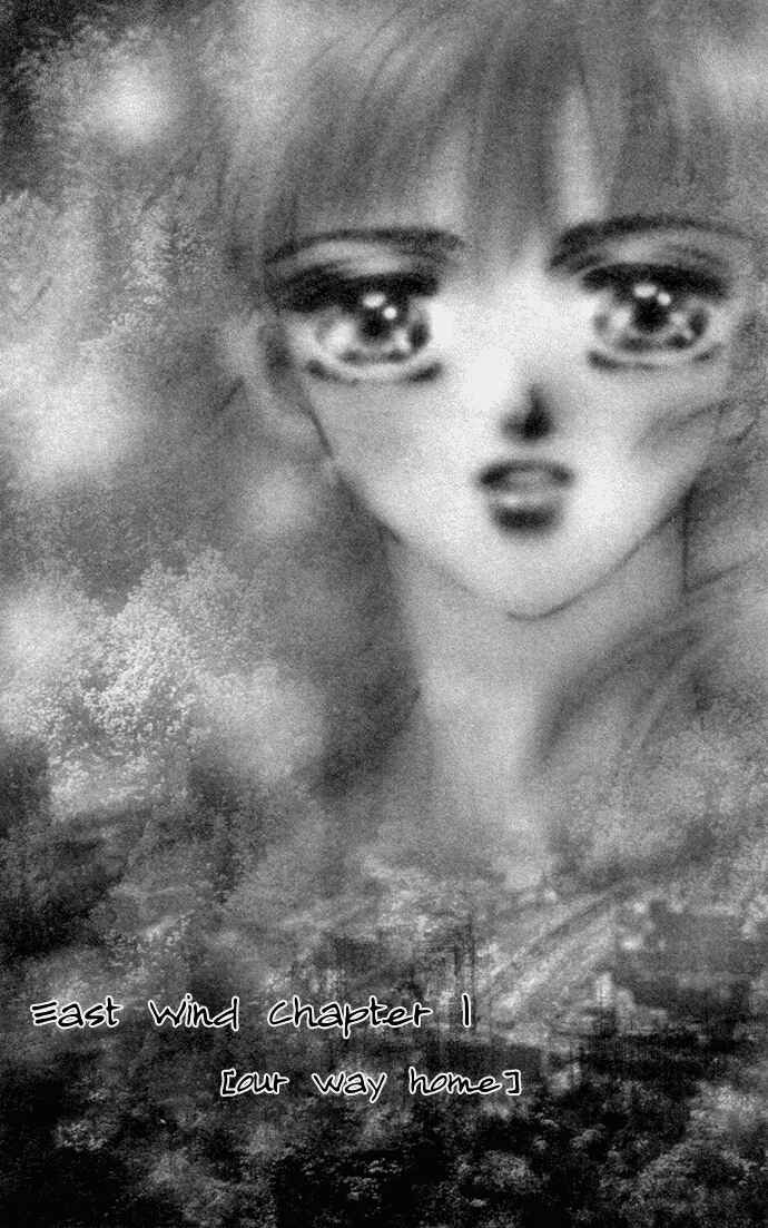 Page 1 Chapter 12 7 Seeds
