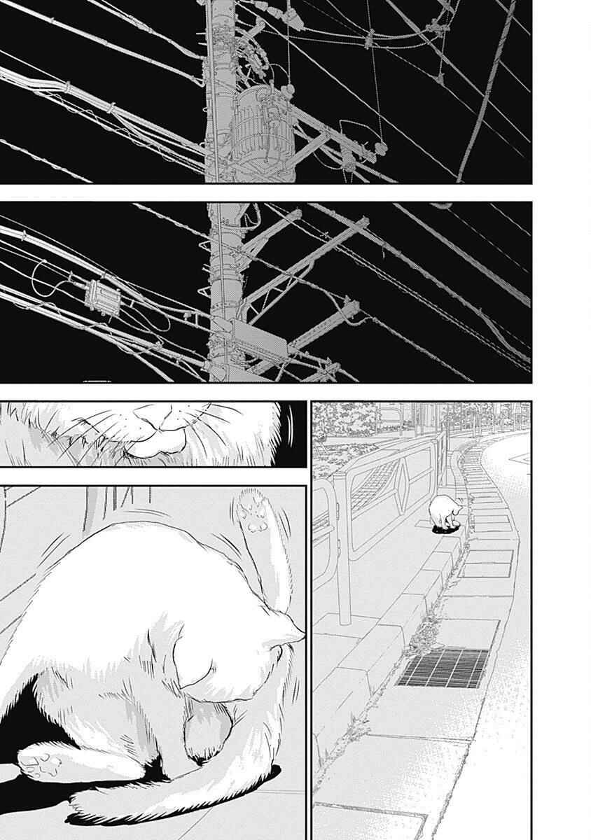 Page 10 Chapter 203 Minamoto-kun Monogatari