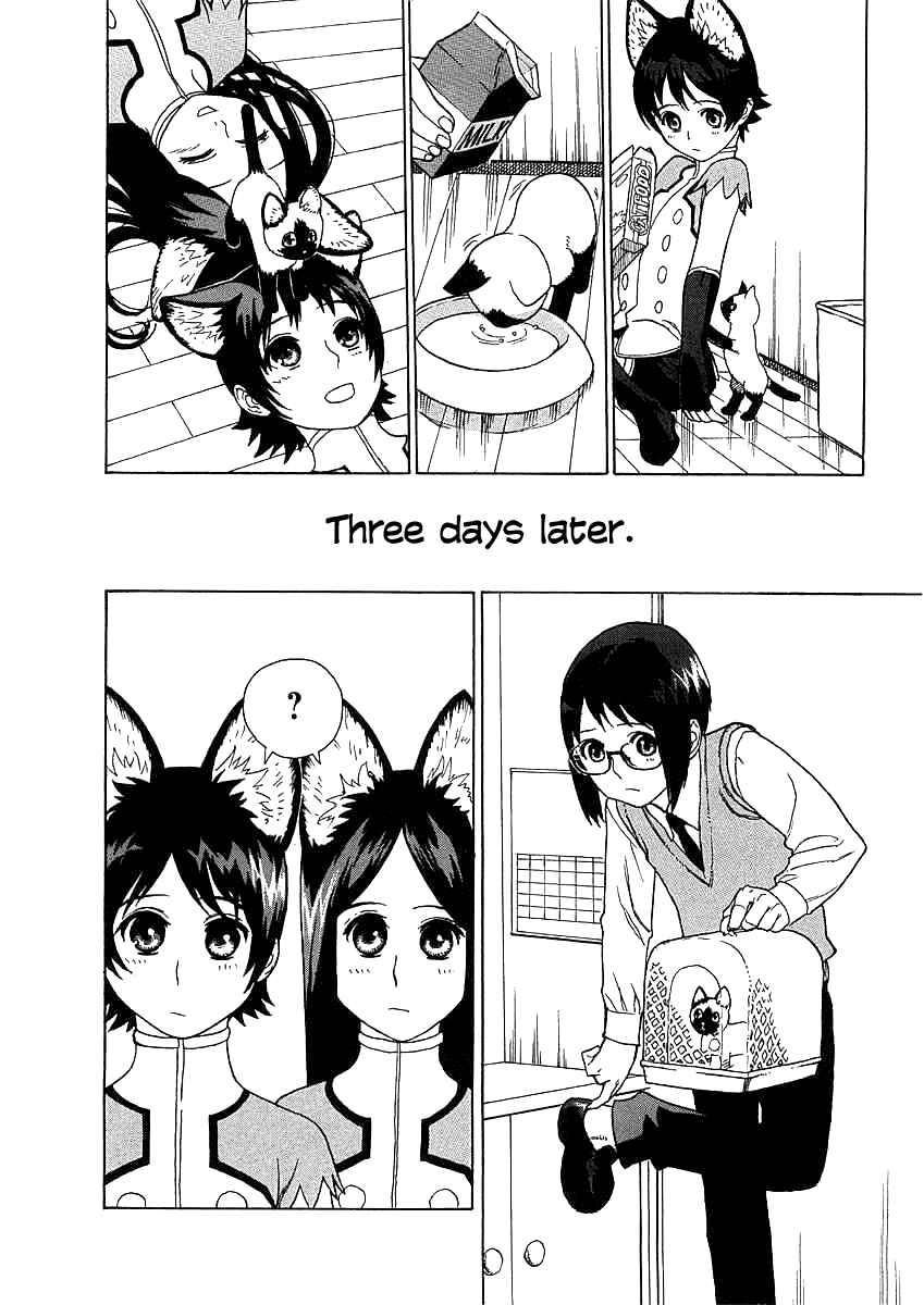 Page 10 Chapter 5 Necossas: Six