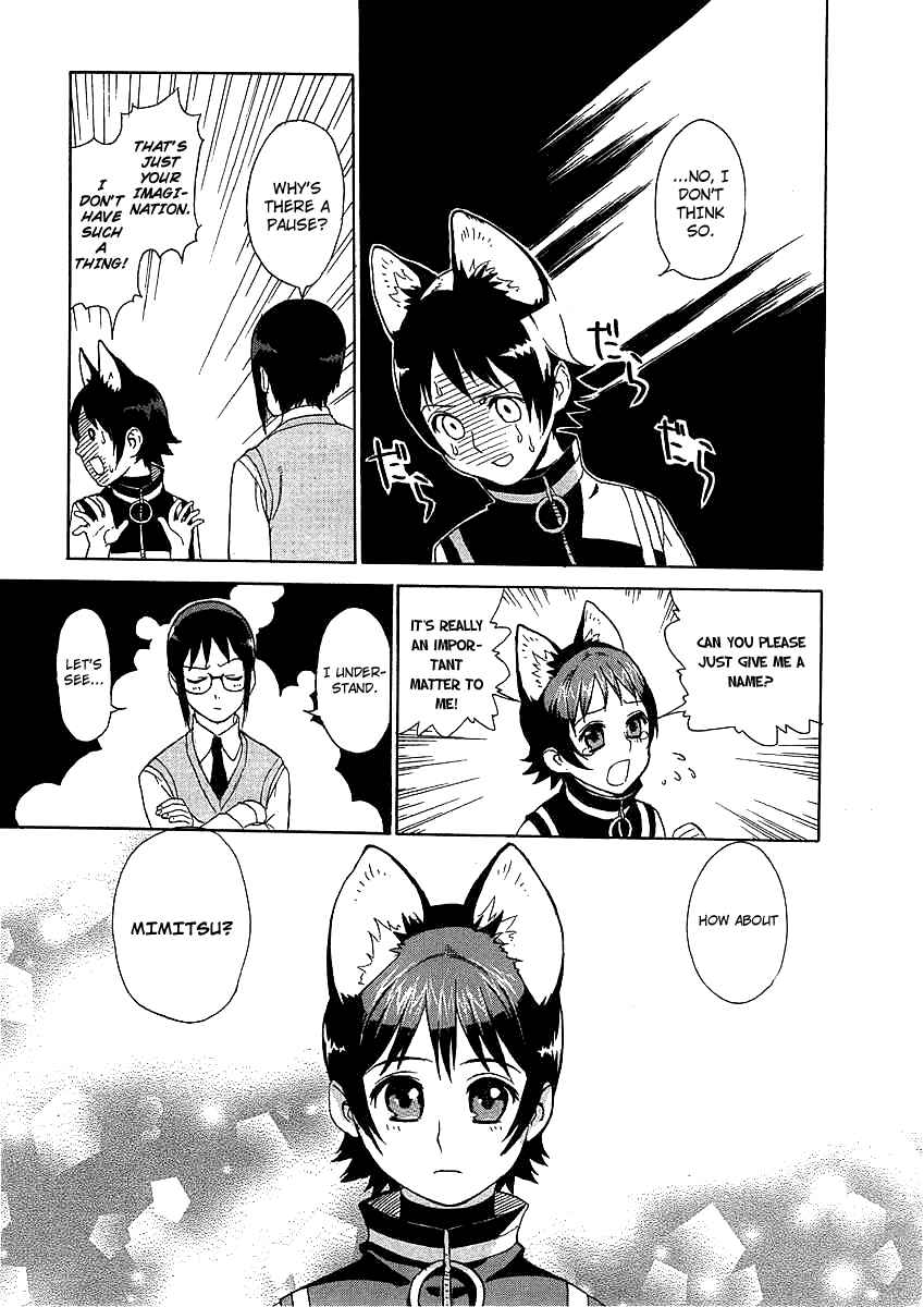 Page 15 Chapter 3 Necossas: Six