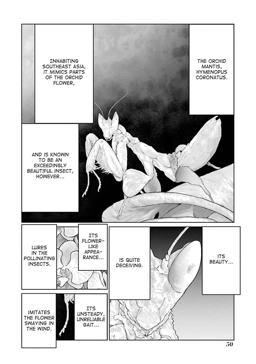 Page 10 Chapter 15 Blattodea