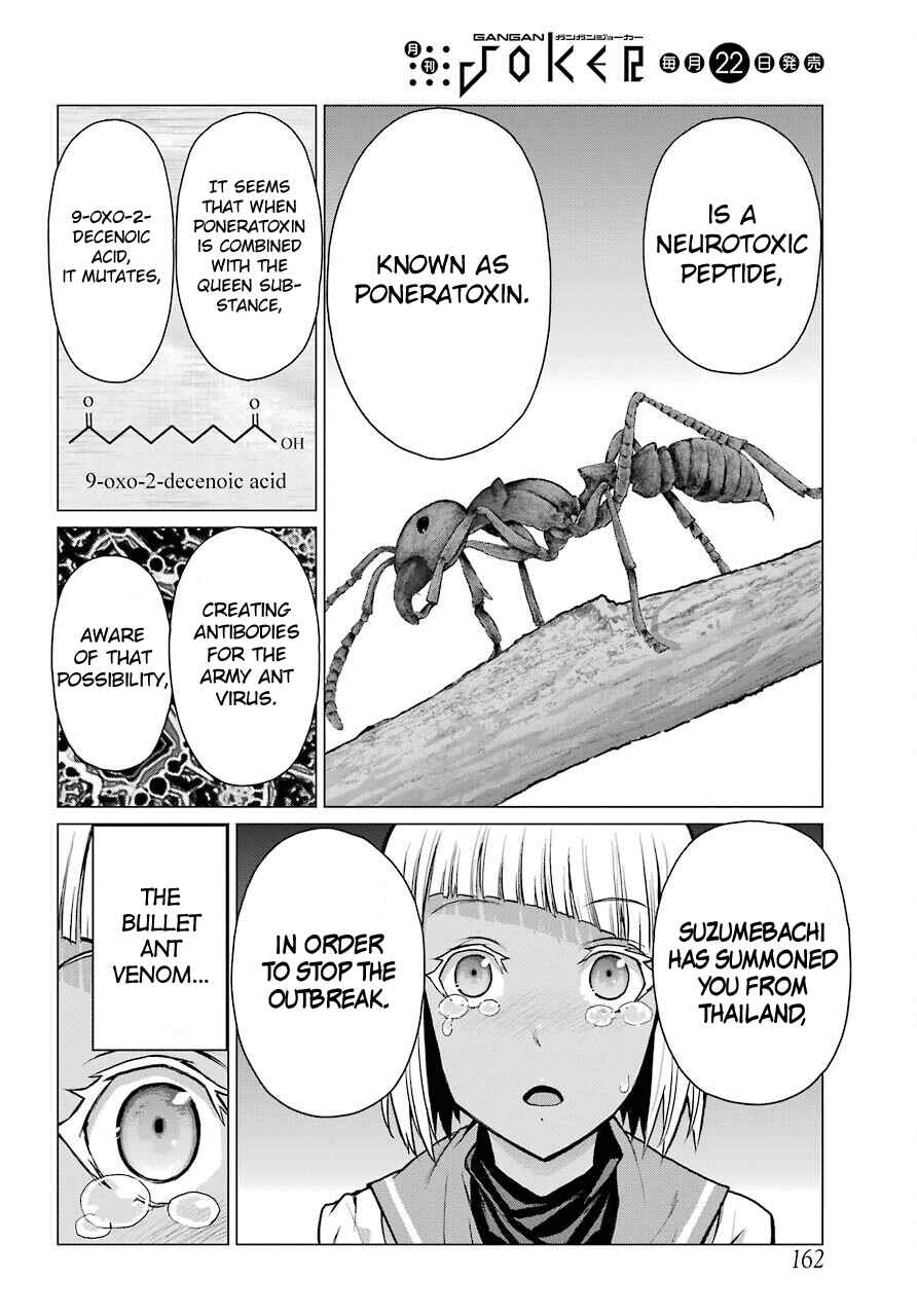 Page 13 Chapter 6 Blattodea