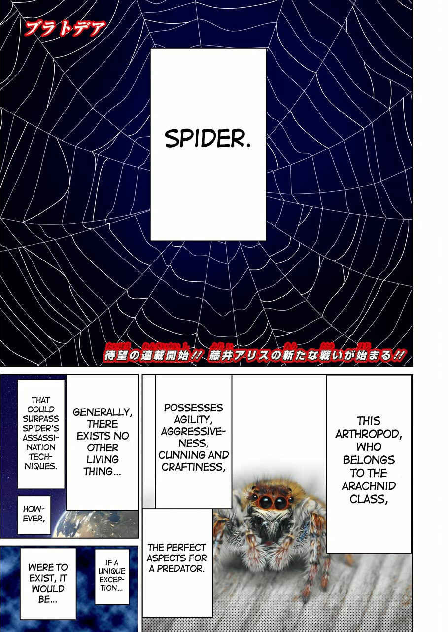 Page 4 Chapter 0 Blattodea