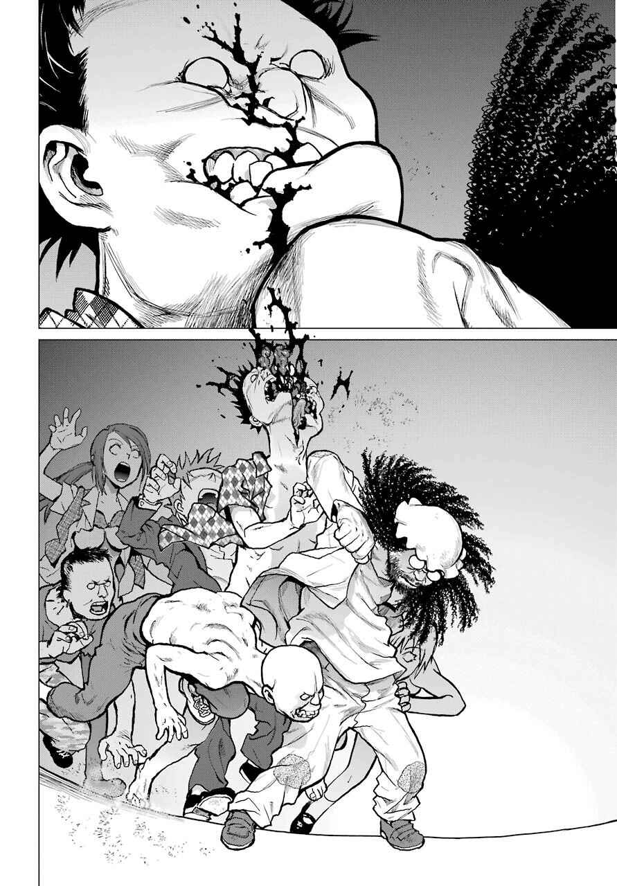 Page 29 Chapter 7 Blattodea