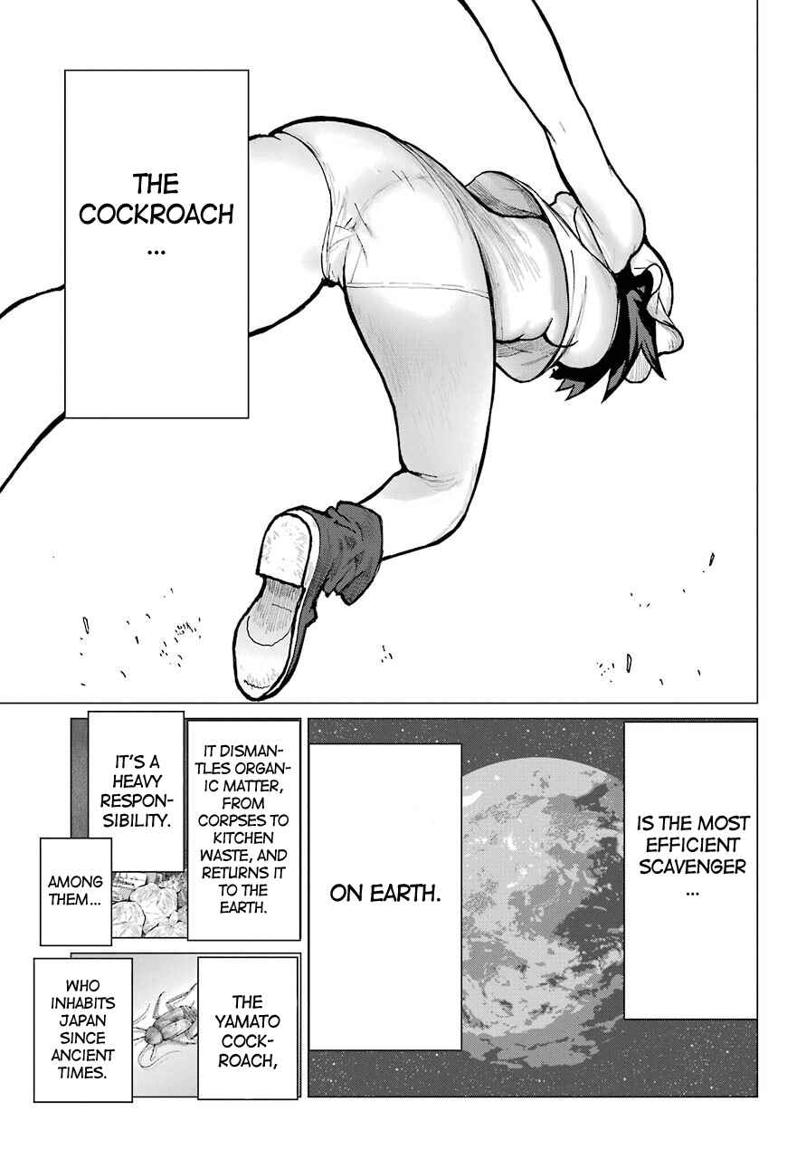 Page 42 Chapter 7 Blattodea