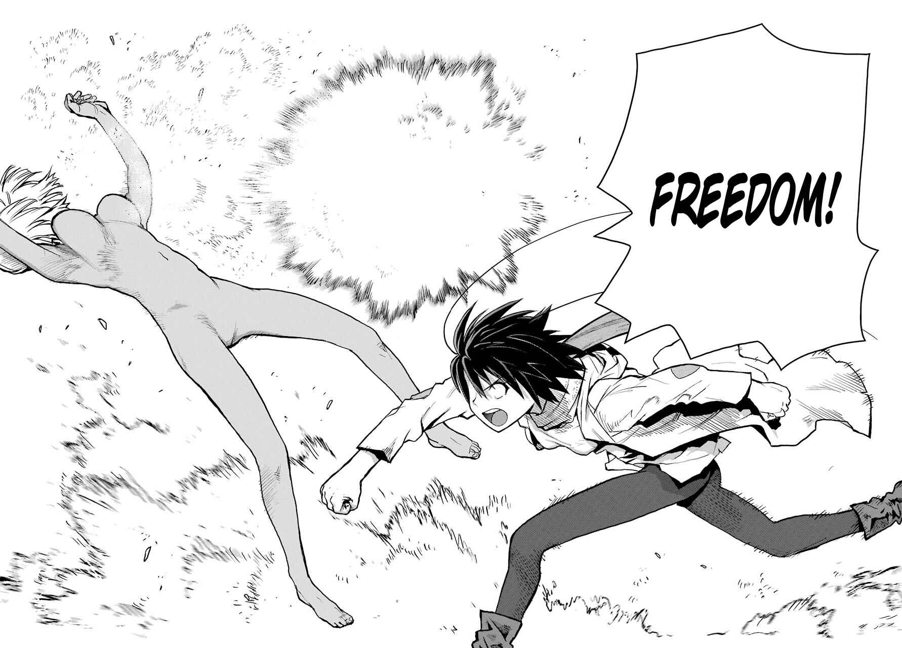 Page 33 Chapter 2 Blattodea