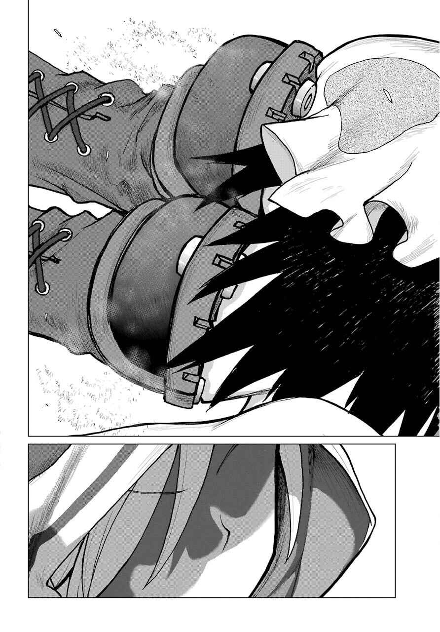 Page 16 Chapter 8.5 Blattodea