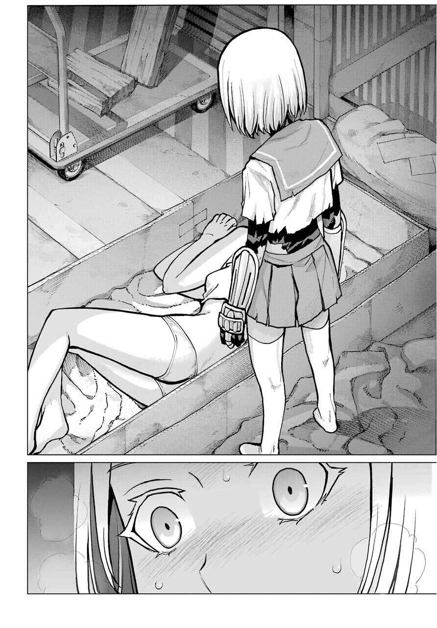 Page 7 Chapter 8.5 Blattodea