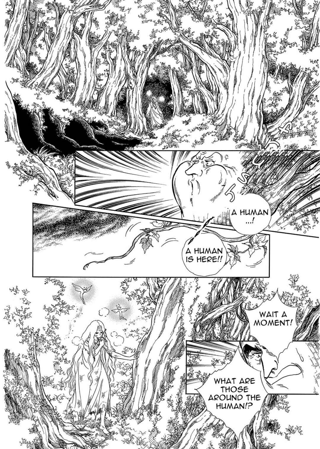 Page 11 Chapter 11 The Ring of the Nibelung
