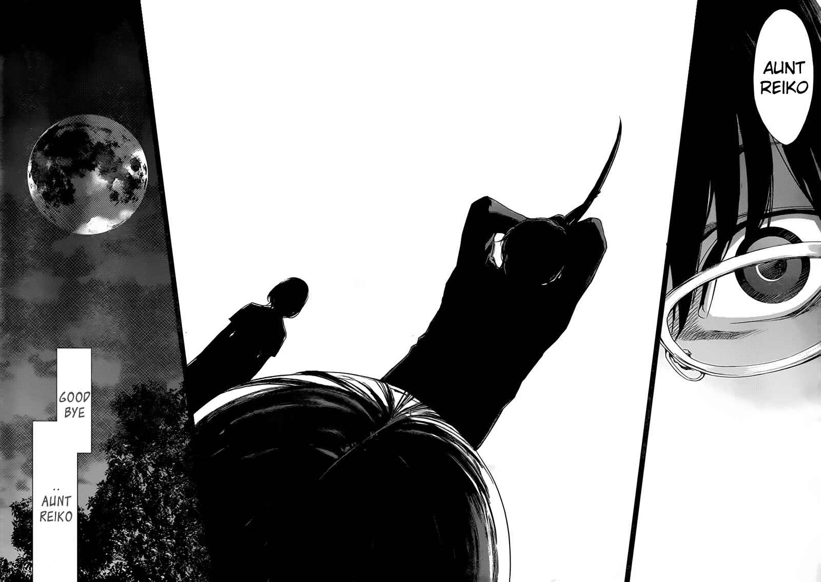 Page 27 Chapter 19 Another