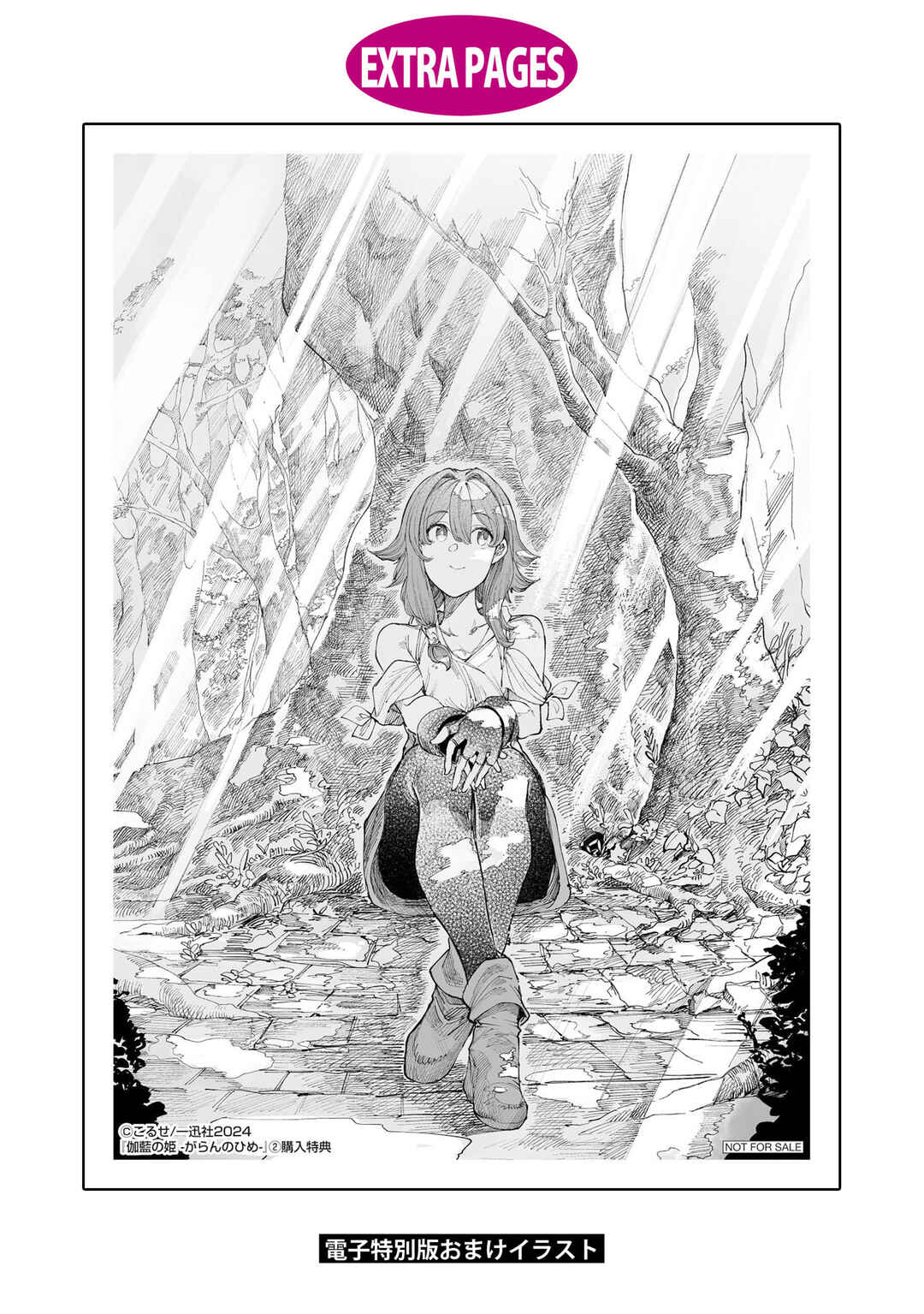 Page 13 Chapter 13.5 Garan no Hime