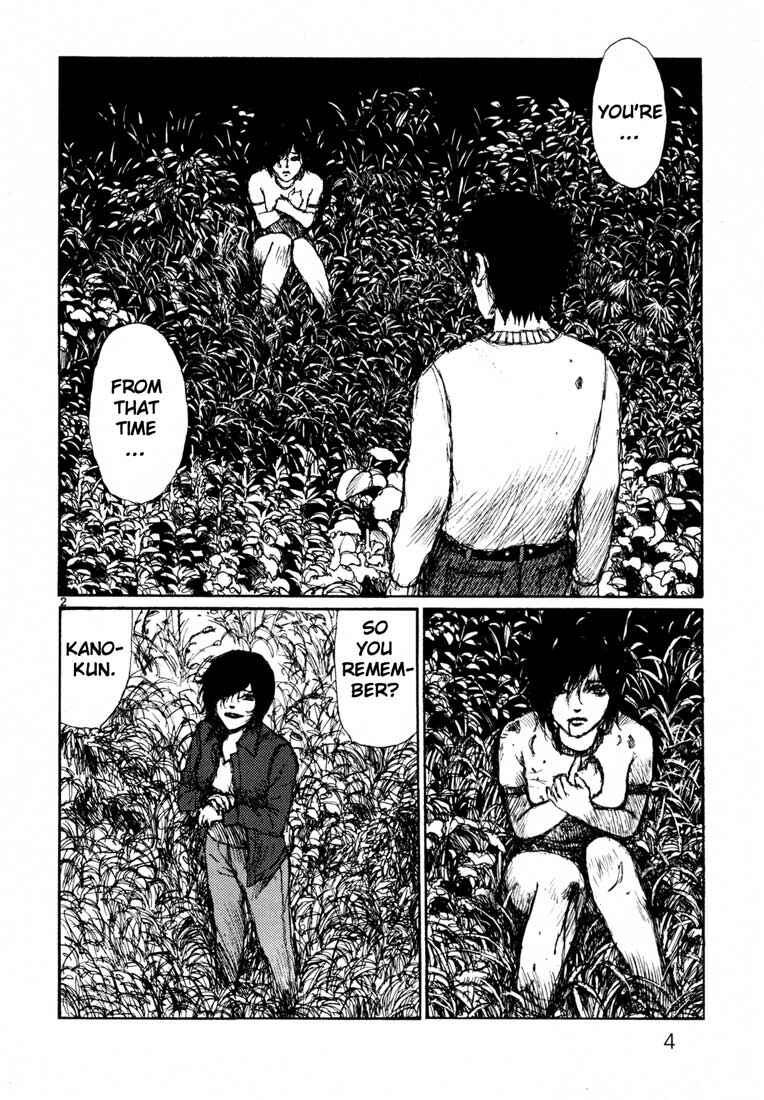 Page 6 Chapter 7 Freesia