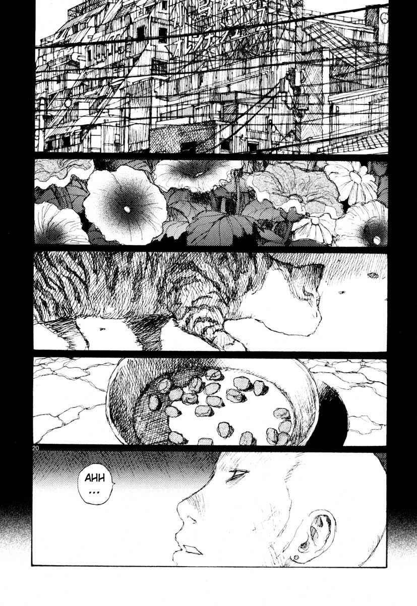Page 20 Chapter 30 Freesia