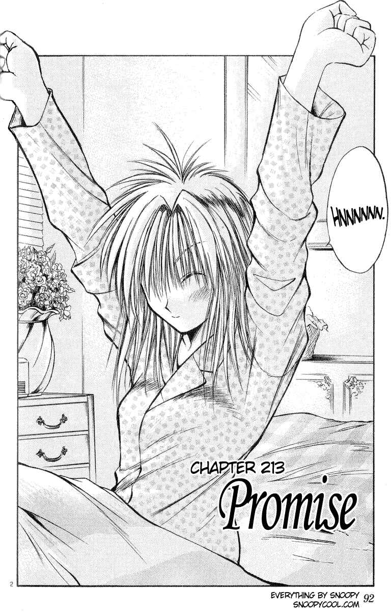 Page 2 Chapter 213 Flame of Recca
