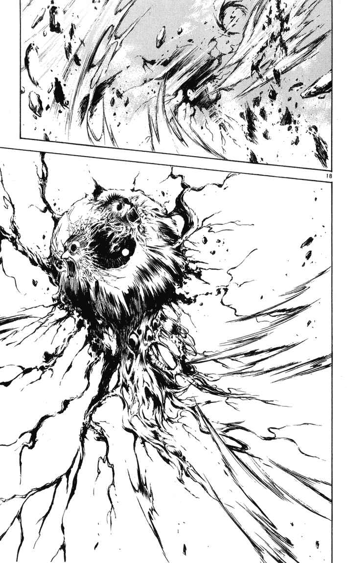 Page 17 Chapter 325 Flame of Recca