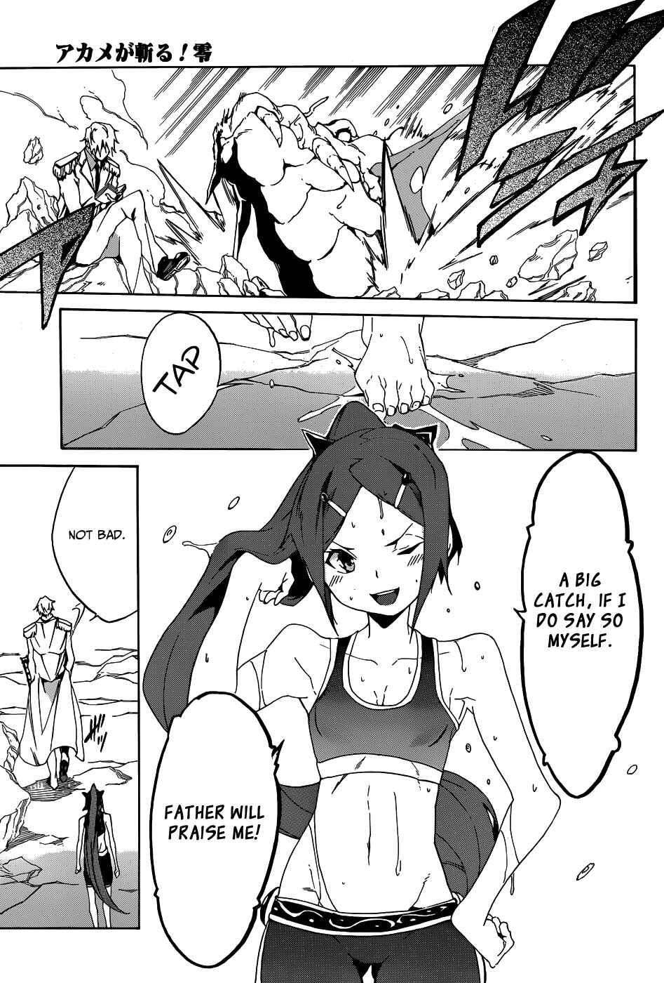 Page 20 Chapter 2 Akame ga KILL! Zero