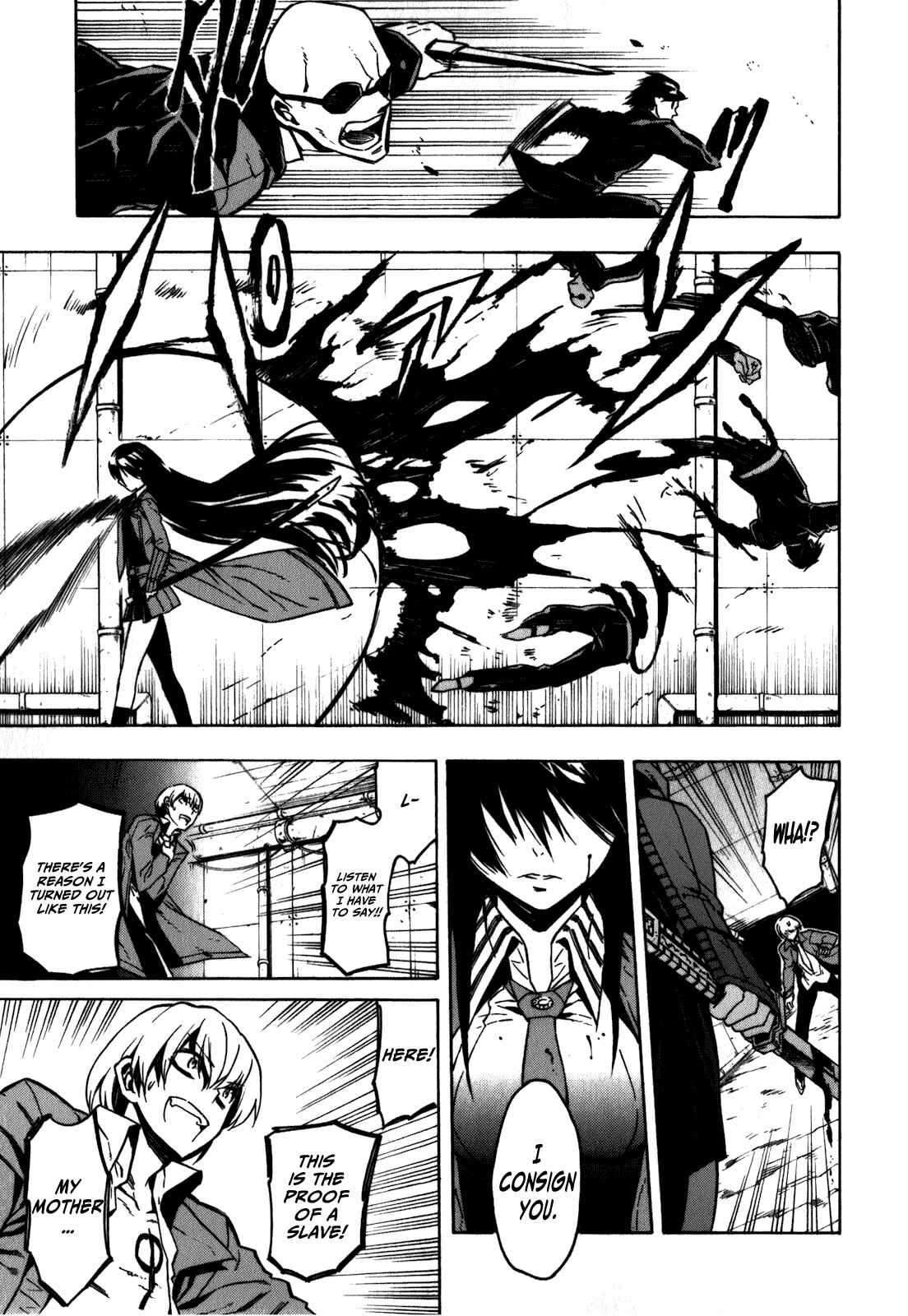 Page 26 Chapter 23.5 Akame ga KILL!