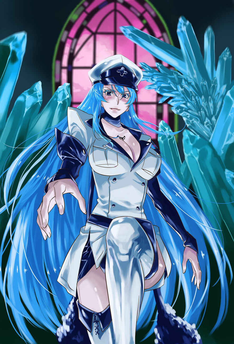 Page 41 Chapter 57 Akame ga KILL!