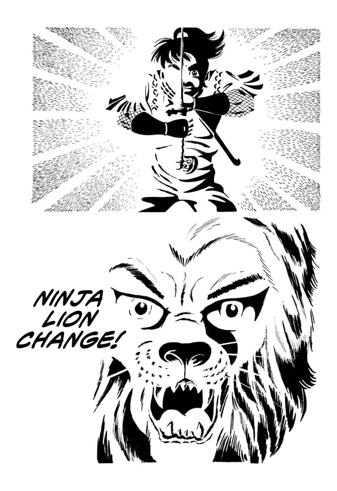 Page 37 Chapter 1 The Vigilant Lionmaru