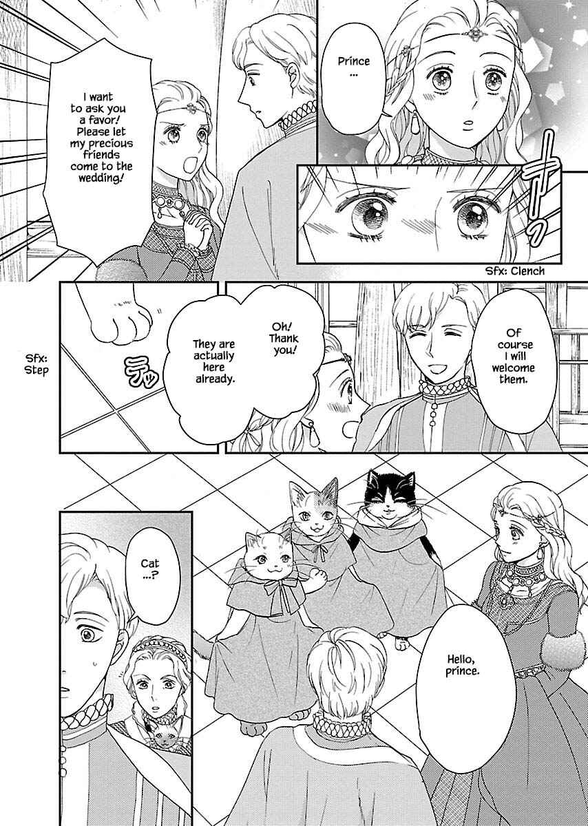 Page 19 Chapter 7 Grimm Fairy Tales - Rapunzel That Was Really a Cat