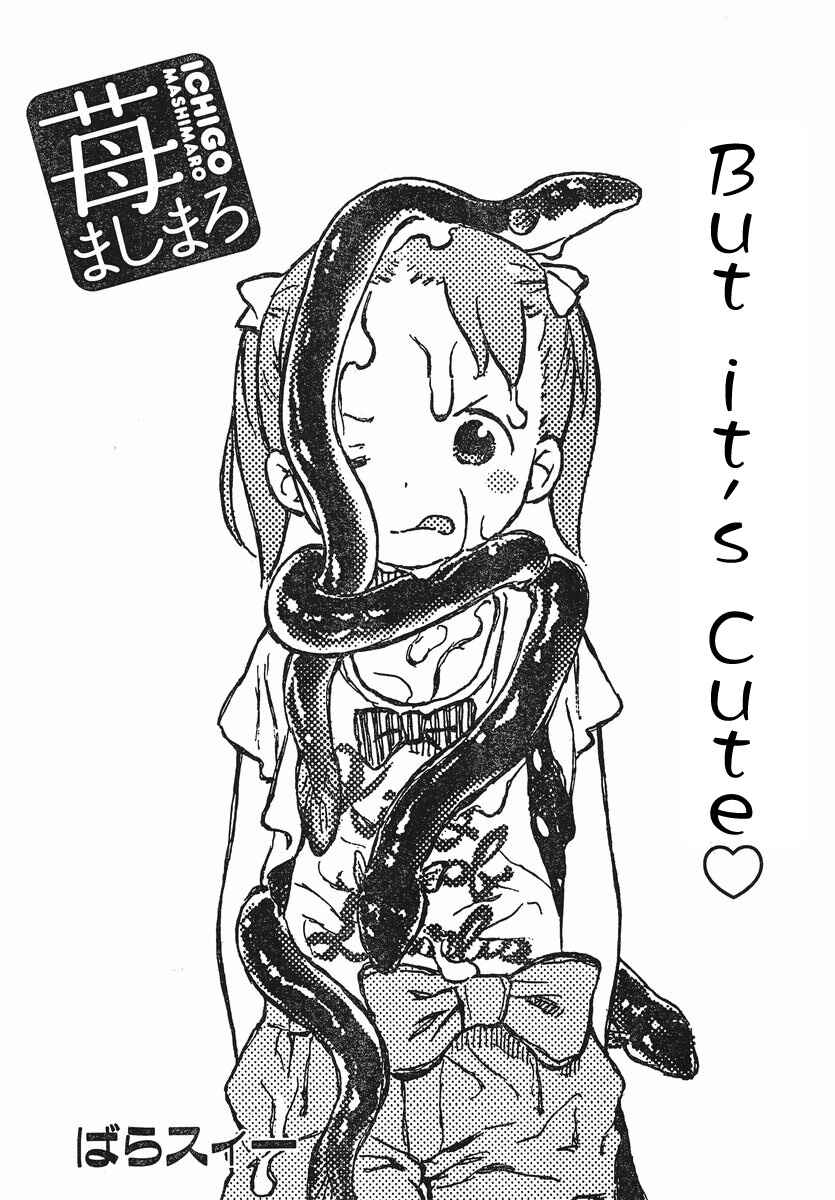 Page 2 Chapter 66 Ichigo Mashimaro