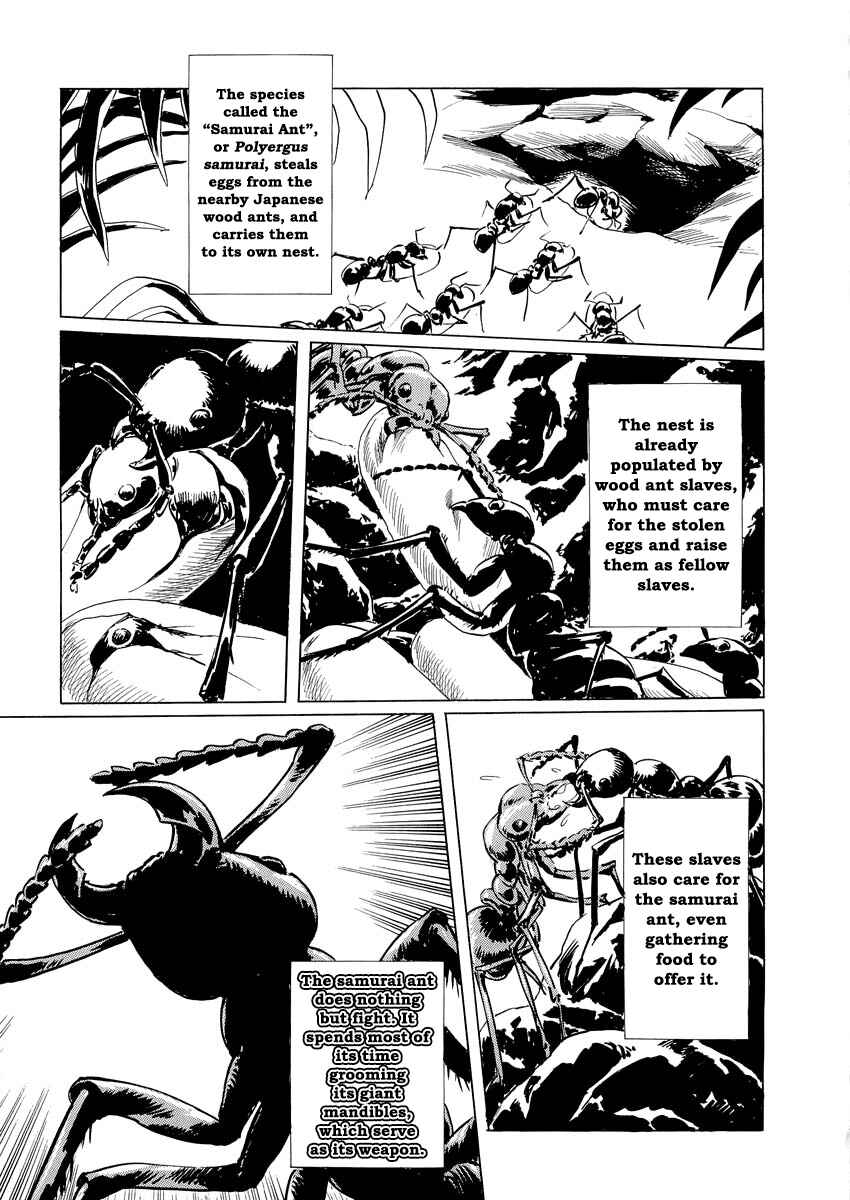 Page 74 Chapter 0.1 Kublai - Completion of World Conquest