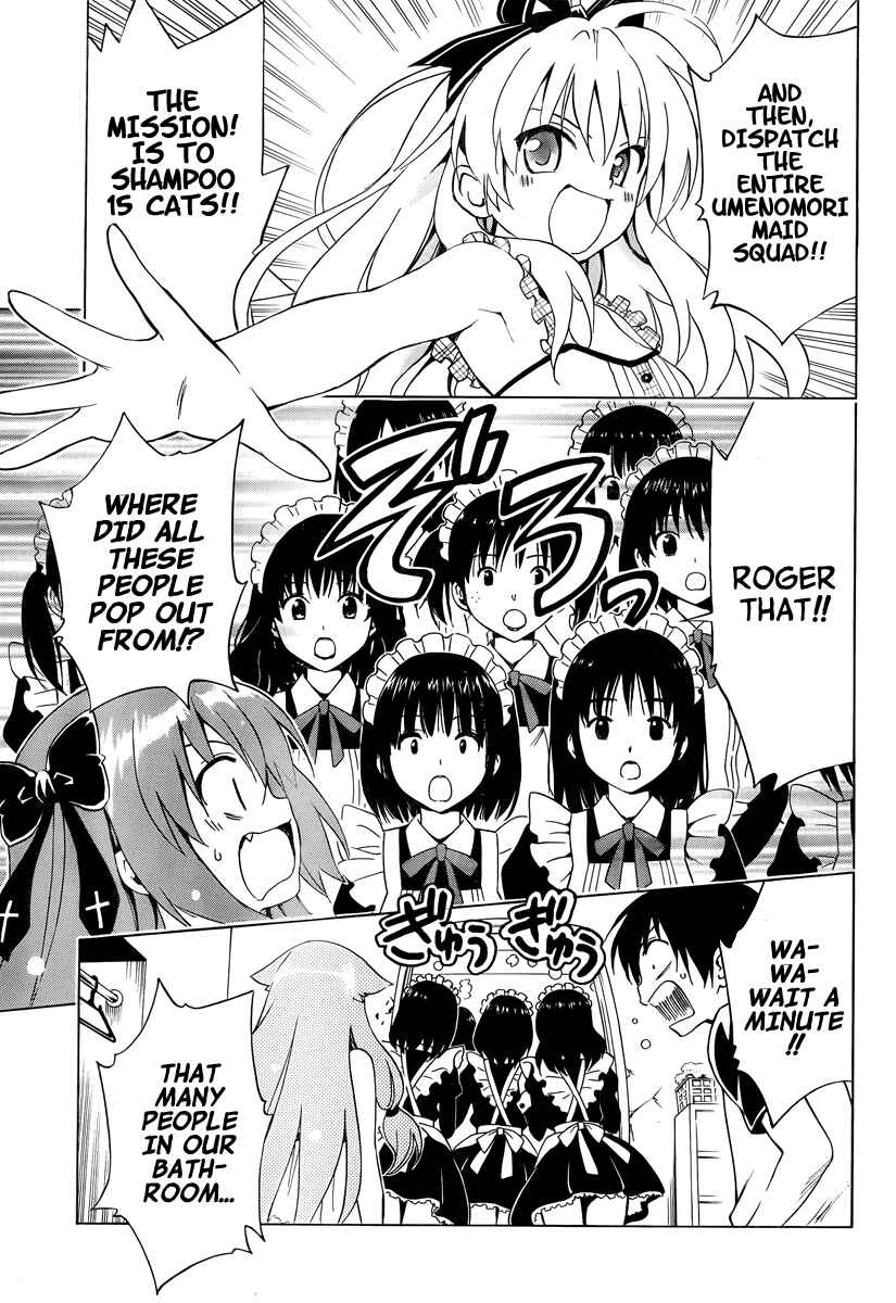 Page 11 Chapter 7 Mayoi Neko Overrun!