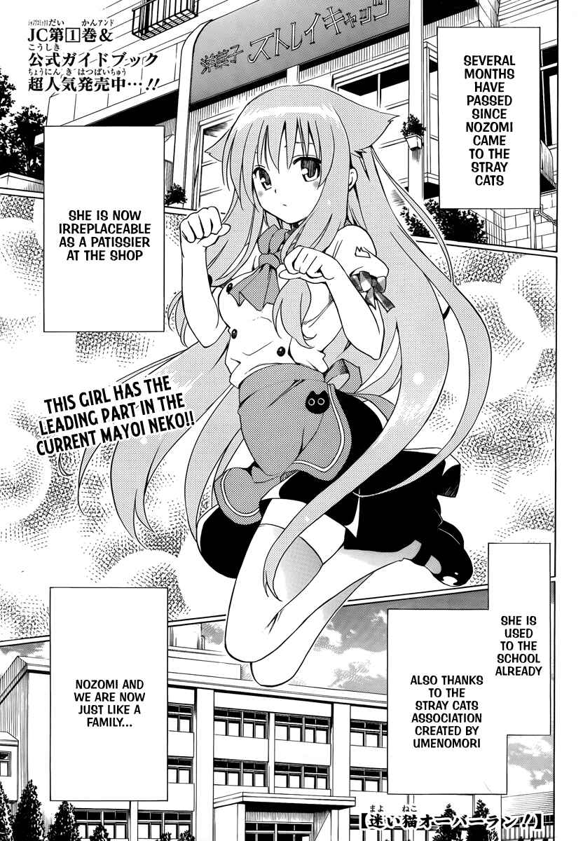Page 3 Chapter 6 Mayoi Neko Overrun!