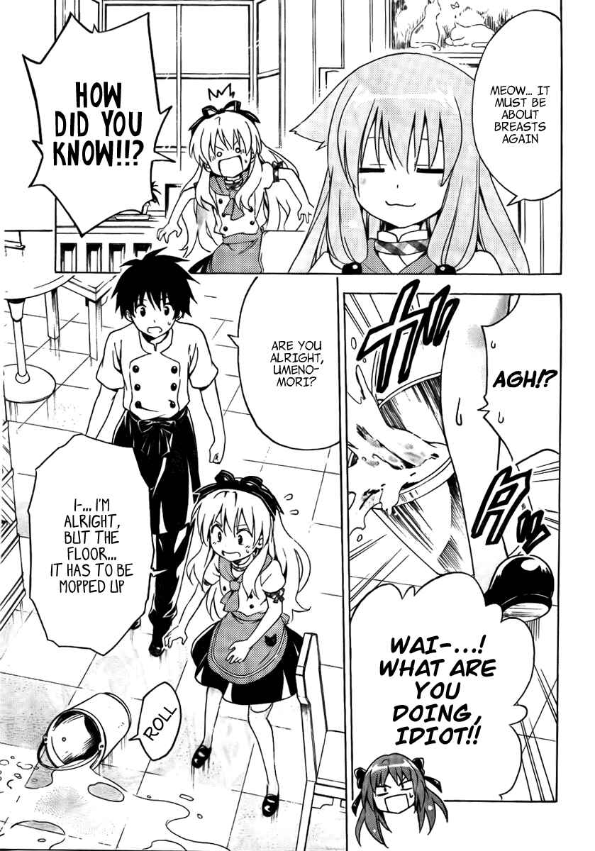 Page 19 Chapter 9 Mayoi Neko Overrun!