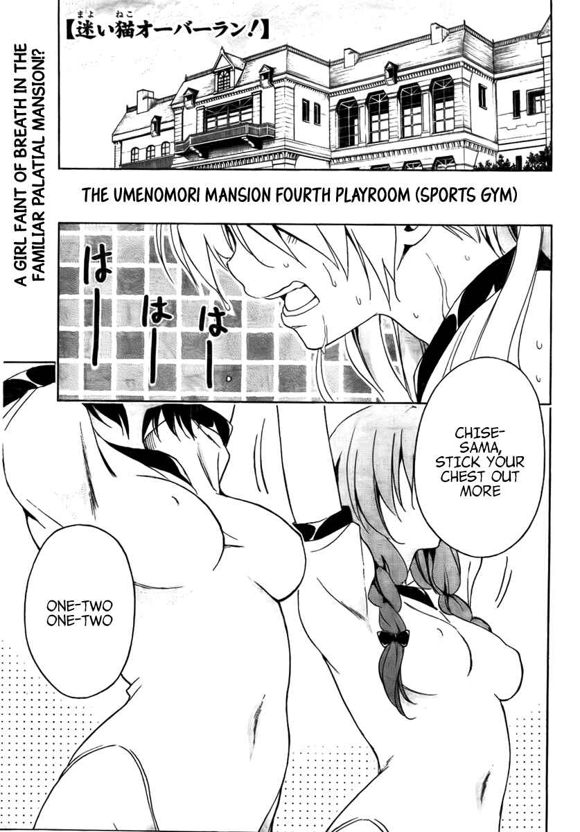 Page 5 Chapter 9 Mayoi Neko Overrun!