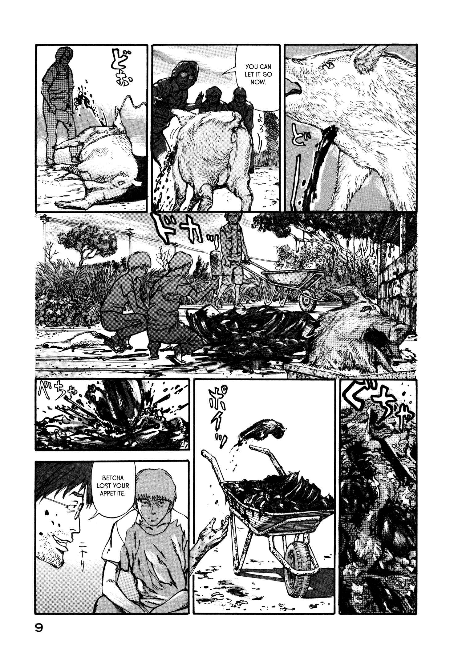 Page 11 Chapter 5 nacuN