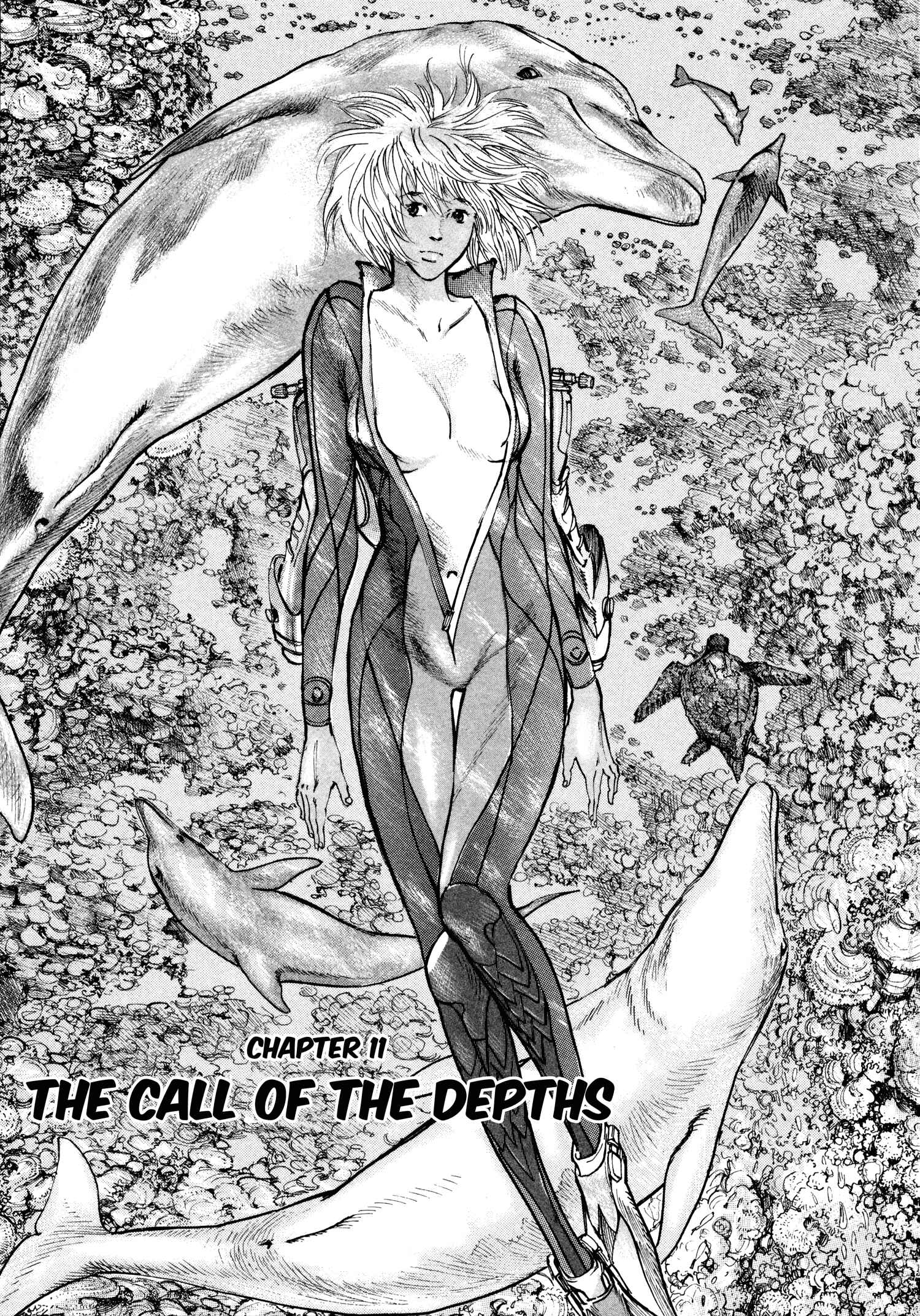 Page 1 Chapter 11 nacuN