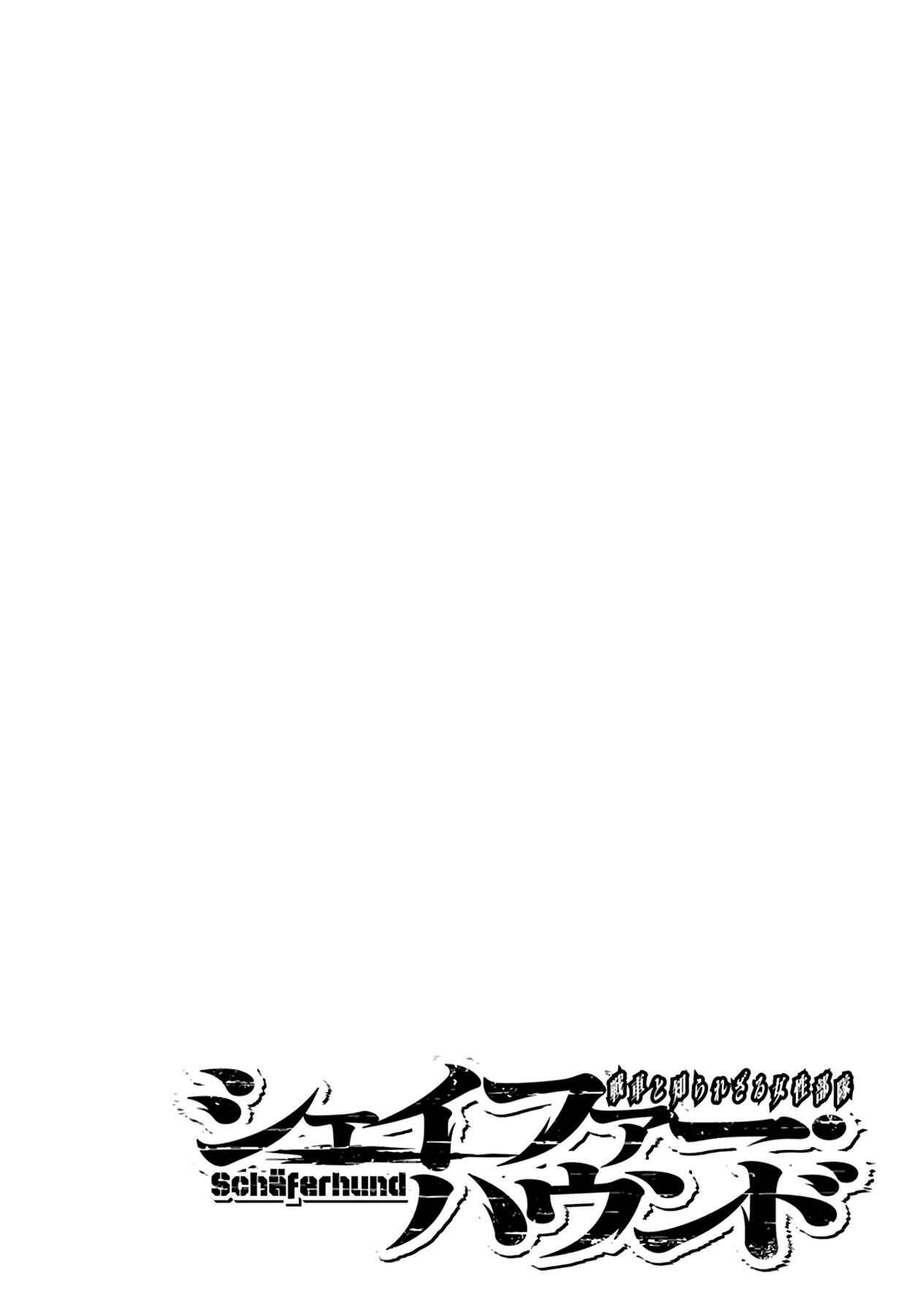 Page 26 Chapter 11 Schäferhund