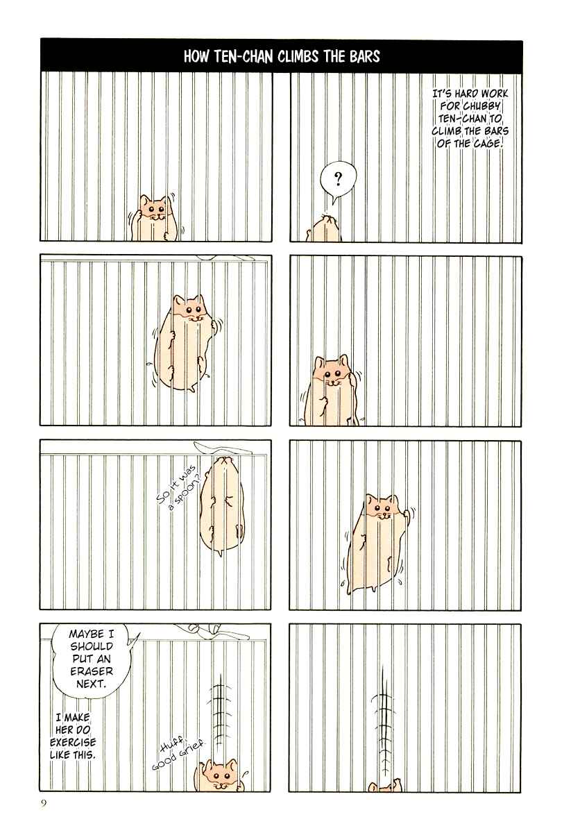 Page 12 Chapter 9 Hamster Research Report