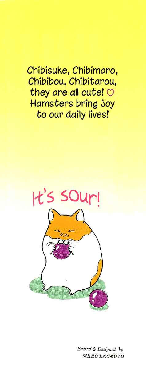 Page 3 Chapter 9 Hamster Research Report