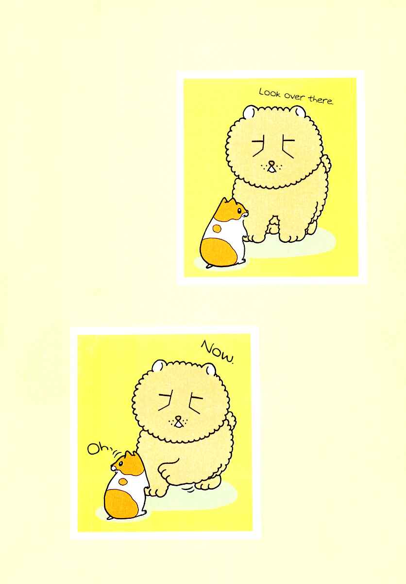 Page 7 Chapter 9 Hamster Research Report