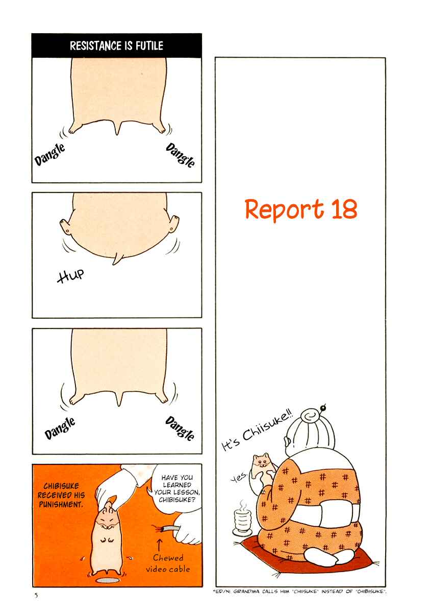 Page 8 Chapter 9 Hamster Research Report