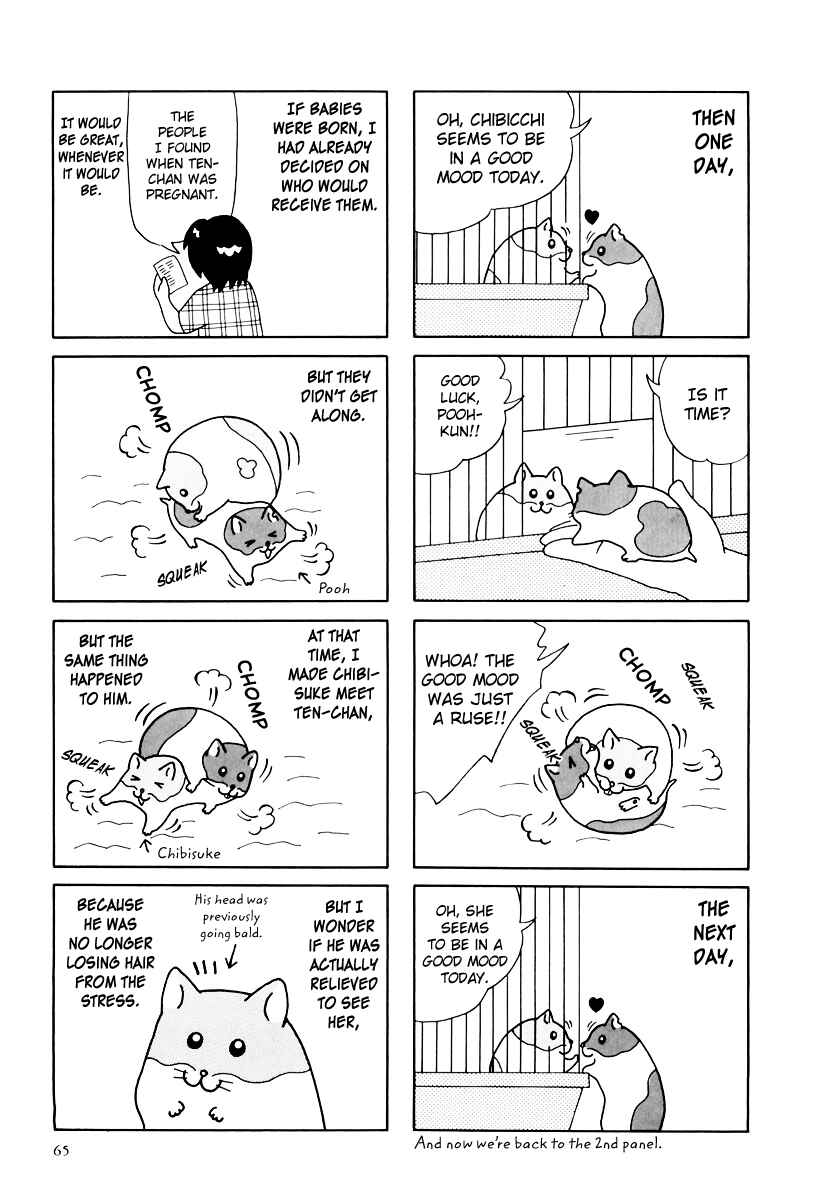 Page 14 Chapter 32 Hamster Research Report