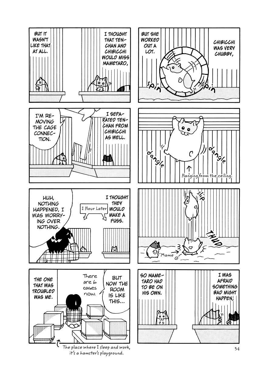 Page 3 Chapter 32 Hamster Research Report