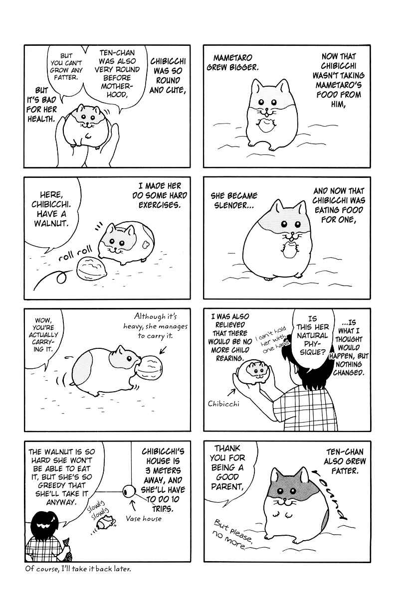 Page 4 Chapter 32 Hamster Research Report